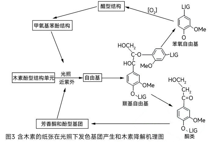 含木素的纸张在光照下发色基团产生和木素降解机理图