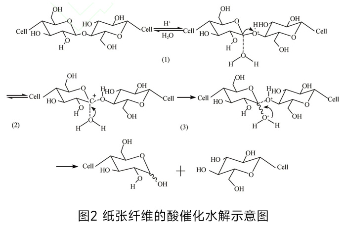 纸张纤维的酸催化水解示意图