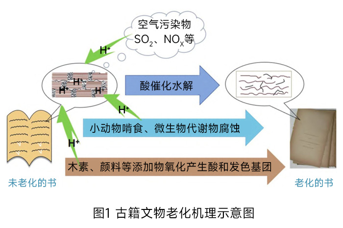 古籍文物老化机理示意图