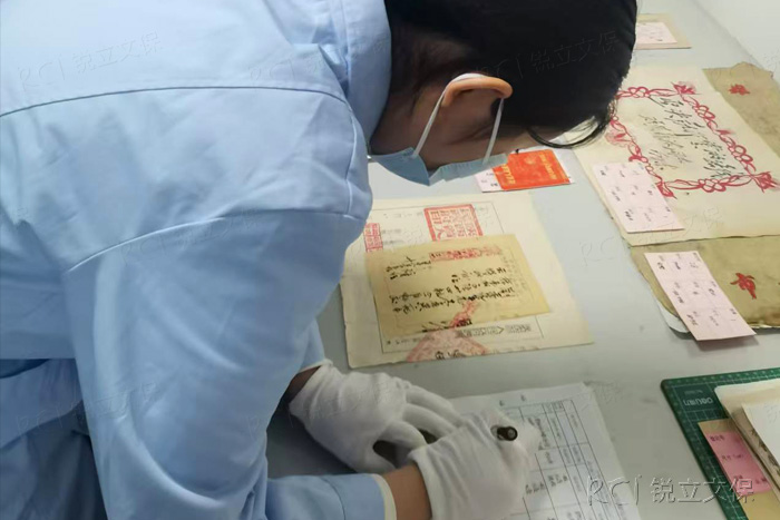 馆内对纸质文物病害情况进行调研